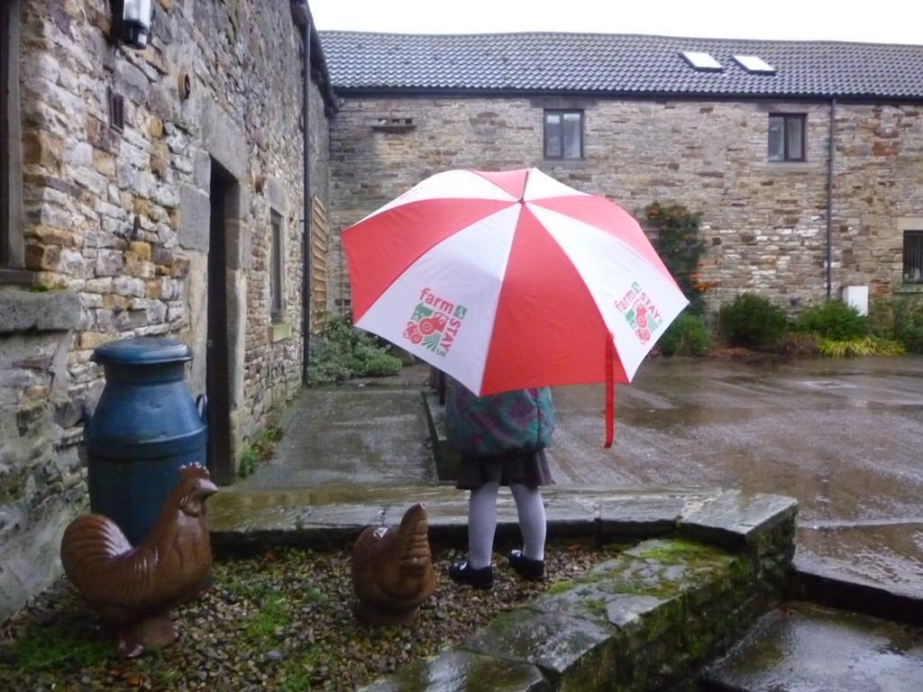 Rye Hill Farm Bed and Breakfast Hexham Eksteriør billede