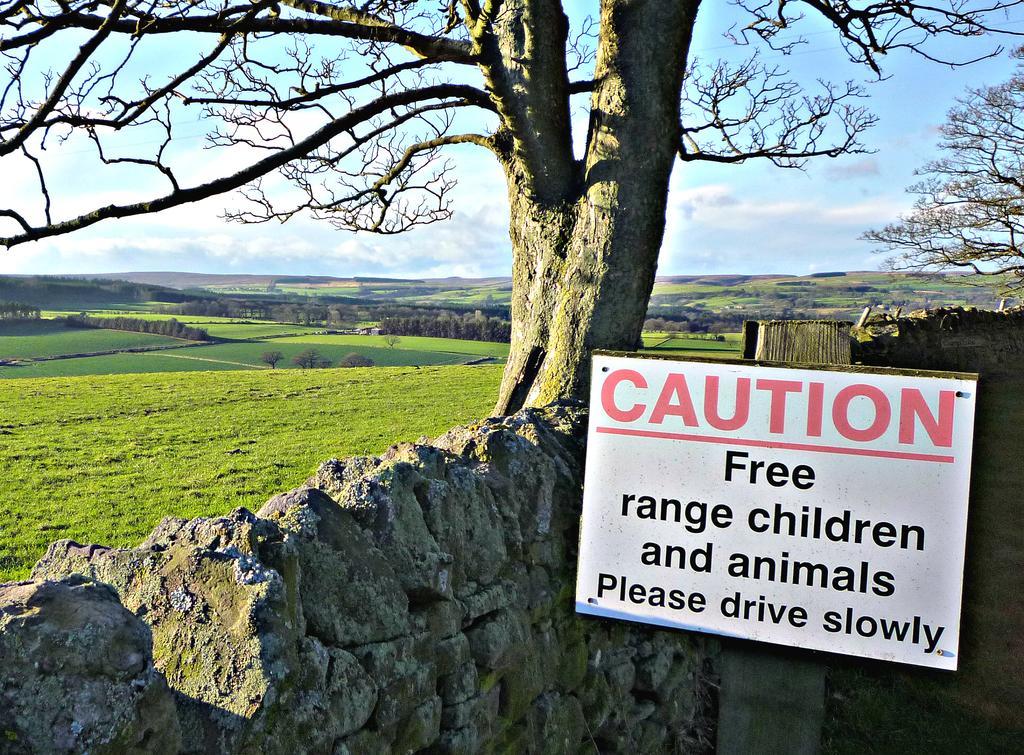 Rye Hill Farm Bed and Breakfast Hexham Eksteriør billede