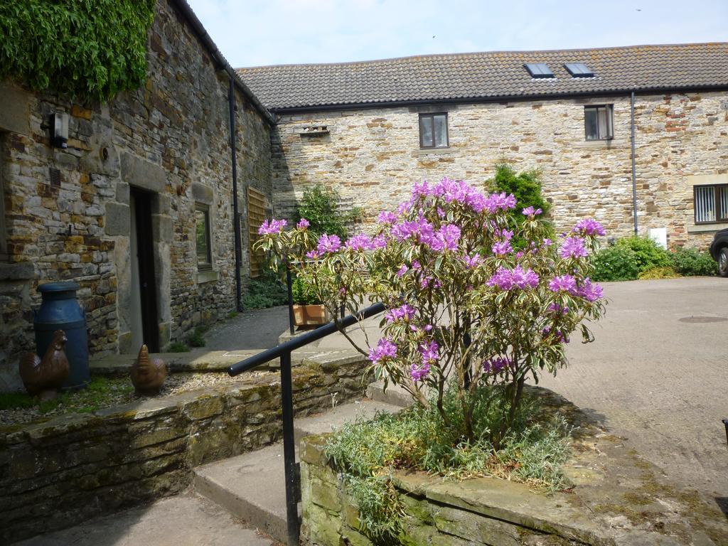 Rye Hill Farm Bed and Breakfast Hexham Eksteriør billede