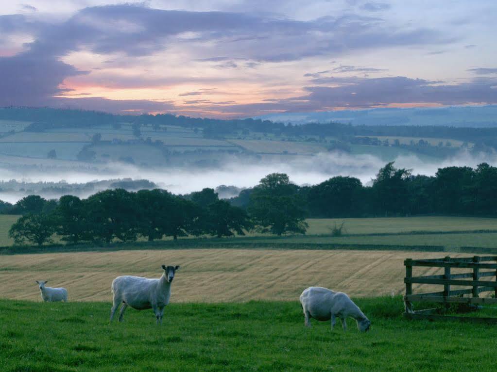 Rye Hill Farm Bed and Breakfast Hexham Eksteriør billede
